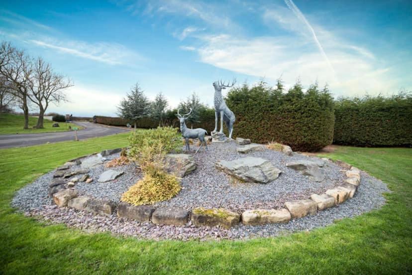 Unwind@36 Campsite Felton (Northumberland)